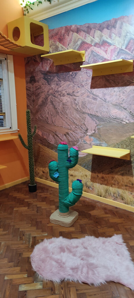 Hotel de Gatos 2 Web