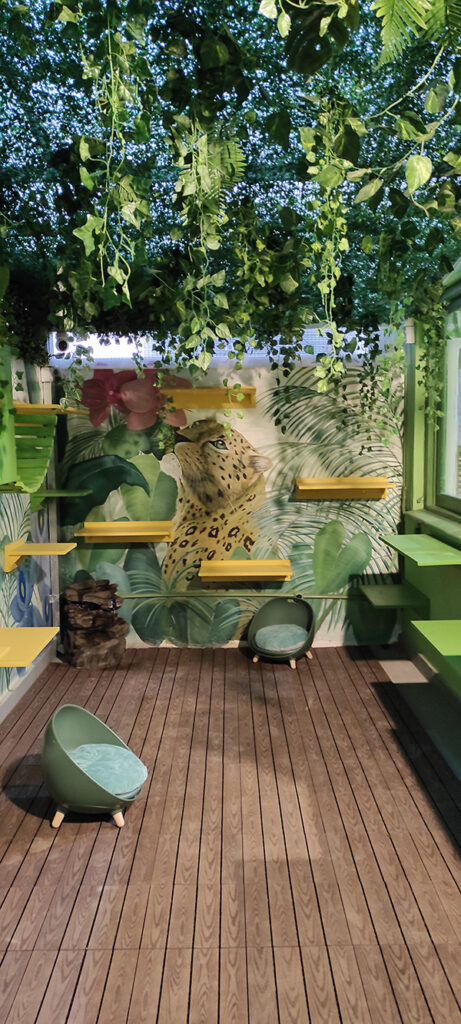 Hotel de Gatos 3 Web